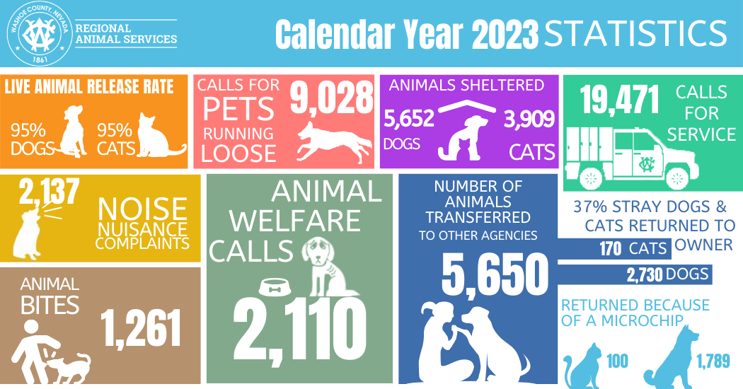 Infographic summarizing 2023 statistics
